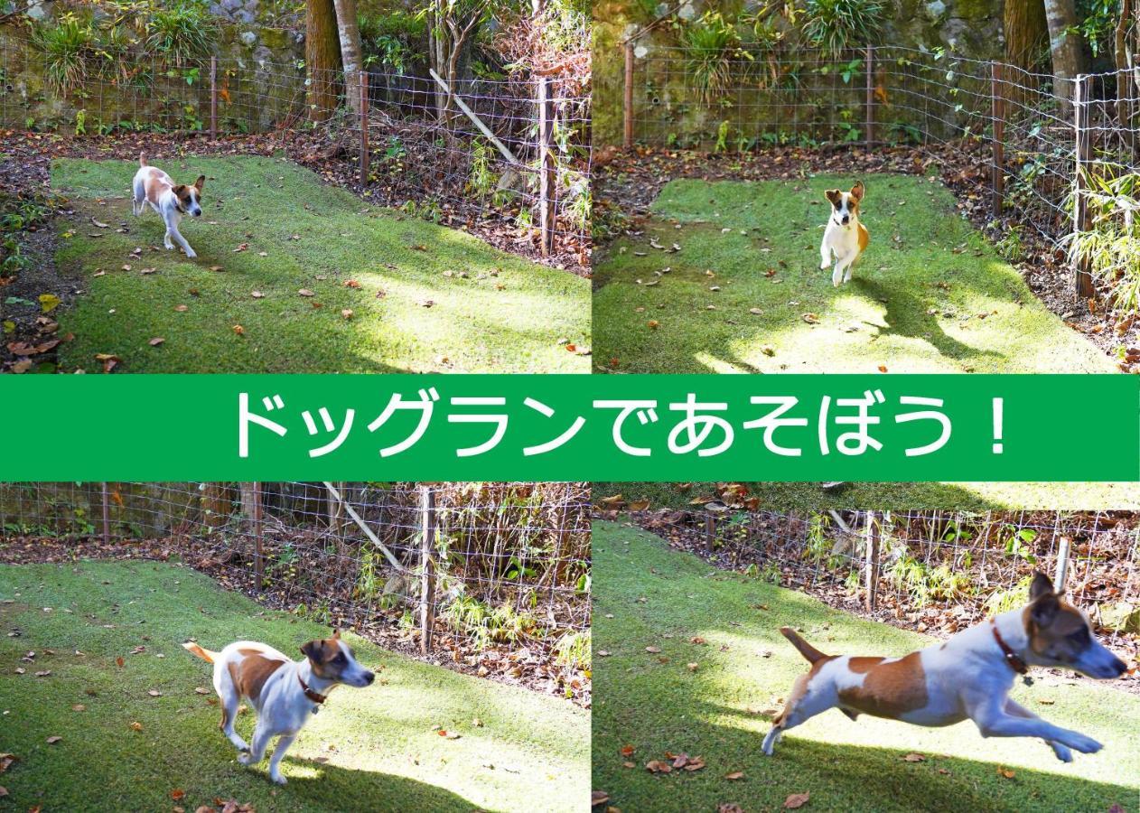 Villa Liberte Hakone Gora Екстериор снимка
